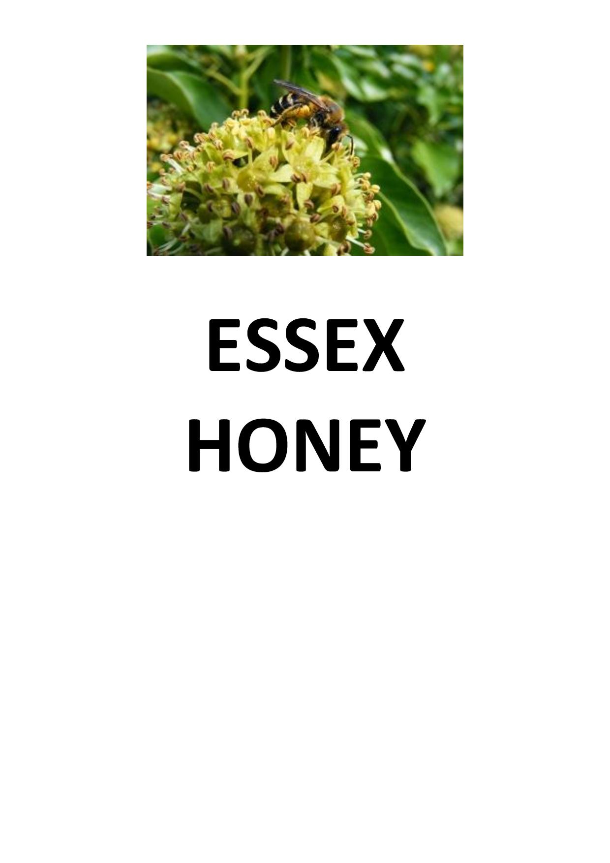 This image has an empty alt attribute; its file name is Essex-Honey-page-001.jpg