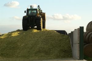 Maize sileage clamp