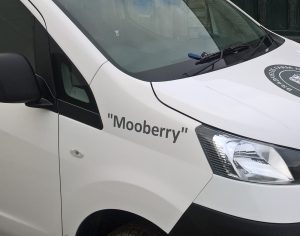 mooberry