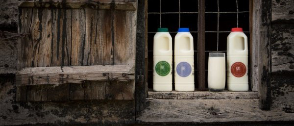 Milk-crop